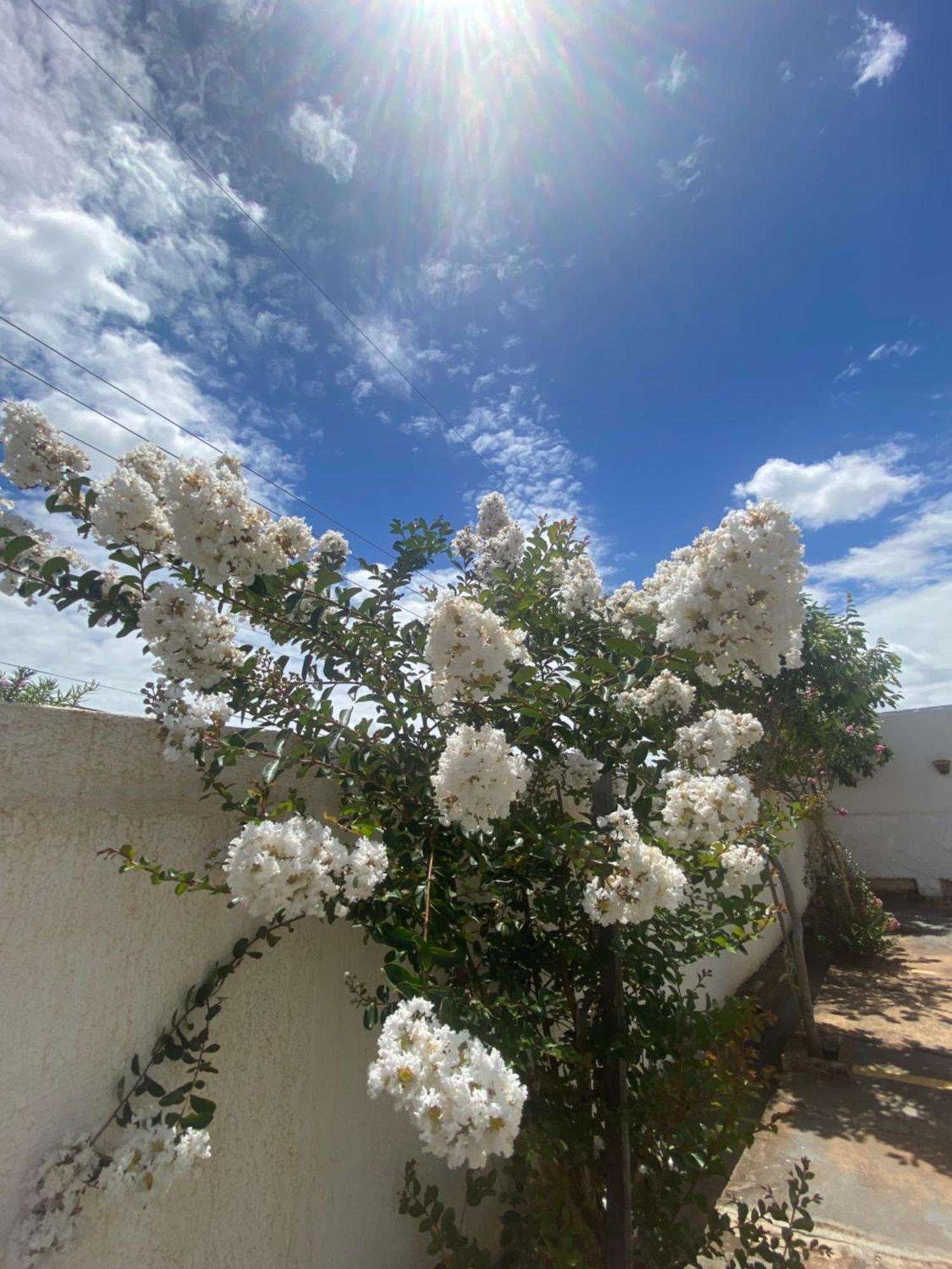Queiroz Palace Hotel Siqueira Campos Exteriér fotografie